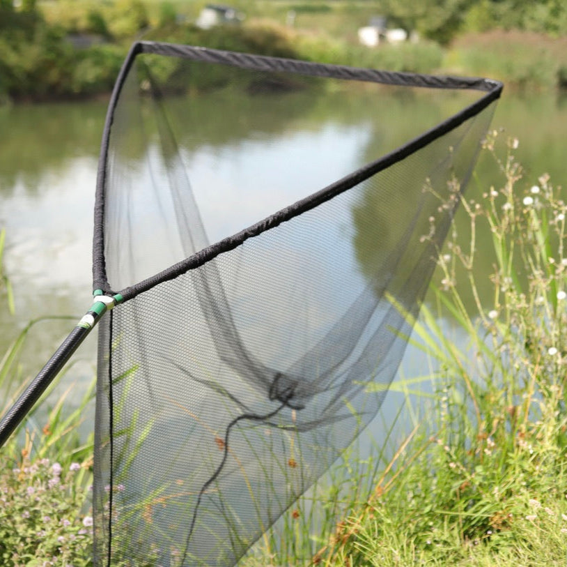 60″ Steve Frapwell Catfish