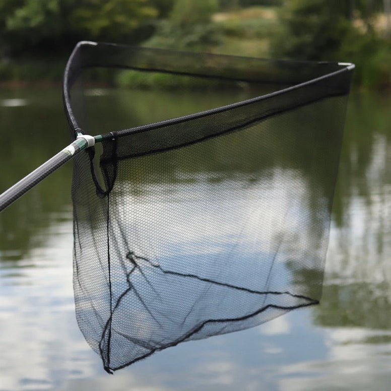 32″ Barbel and Chub