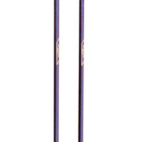 Parallel Bars